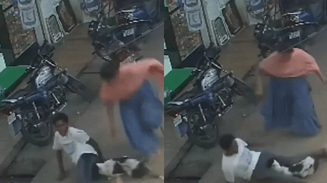 Viral Video: Woman clashes with stray dog to save a boy