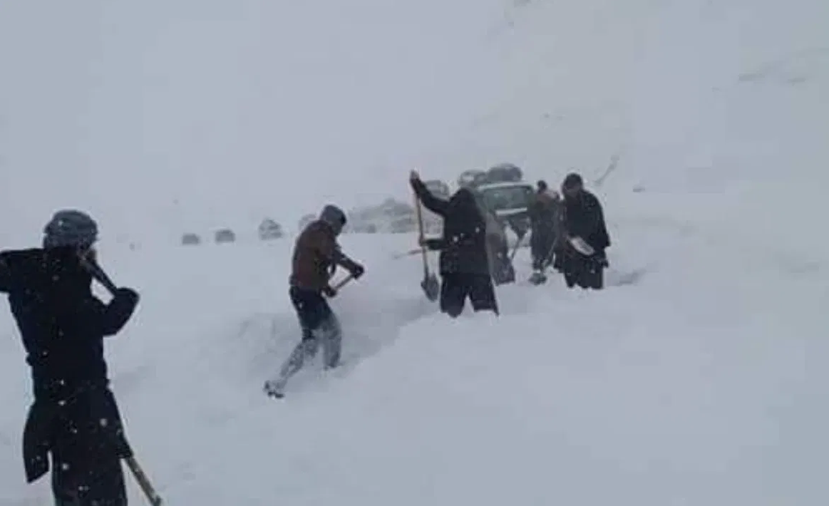 Afghanistan: Snowfall havoc, many people died, animals suffering from hunger