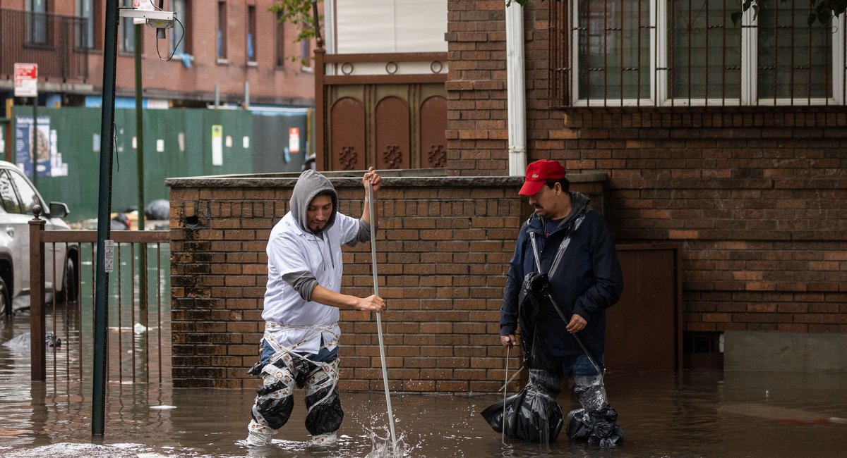 NYC asks researchers: What should we do with all this poop?